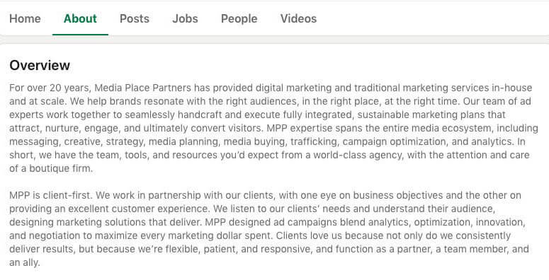 LinkedIn Company Description